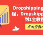 打造你的DROPSHIPPING帝国：从新手小白到高手大师的完整教程