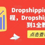 打造你的DROPSHIPPING帝国：从新手小白到高手大师的完整教程