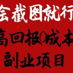 掌握截图技能即可，揭秘高收入零成本网赚项目，轻松日赚千元以上销售离婚模板