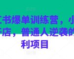 掌握小红书开店秘籍，普通人也能轻松爆单，揭秘火爆训练营红利项目