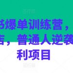 掌握小红书开店秘籍，普通人也能轻松爆单，揭秘火爆训练营红利项目