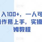 单号日赚100+，轻松上手，实操落地保姆级教程大揭秘