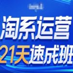 淘宝天猫运营实战特训：24天打造顶尖电商人才，第28期万相台无界流量秘籍免费大放送
