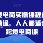 跨境电商新手变高手实操课：零基础快速精通，适合每个人的电商成长之路