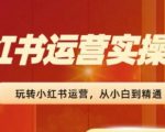 2024年小红书运营实战训练营：从新手小白到高手大师，实现从0到1再到100的飞跃
