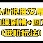 2024年小说推广高阶攻略：动漫剧情融合图文创意标记，引领最新潮流