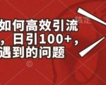 高效引流创业粉实战攻略：小红书日吸100+精准粉丝，解决你的流量困扰【独家揭秘】