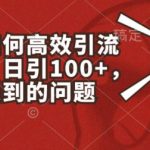 高效引流创业粉实战攻略：小红书日吸100+精准粉丝，解决你的流量困扰【独家揭秘】