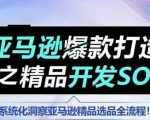 亚马逊热销产品开发秘籍：全面解析SOP系统化选品策略