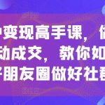 打造顶级私域IP：掌握变现高手课，实现被动成交，轻松玩转朋友圈与社群运营