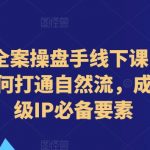 短视频全案操盘手线下课：4-5月独家秘授，轻松玩转自然流量，打造现象级IP不可或缺攻略