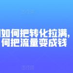 短剧营销实战指南：流量变现最大化技巧解析