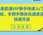 掌握速卖通VIP新手速成开店攻略，轻松开启跨境电商之旅