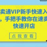 掌握速卖通VIP新手速成开店攻略，轻松开启跨境电商之旅
