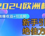 2024欧洲杯暴富攻略：小白必看，实现躺赚收益与粉丝爆涨的终极秘籍！