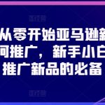 2024年亚马逊新手小白必看：零基础新品推广攻略，快速提升销量！