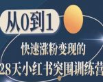 28天小红书达人速成训练营：零基础小白如何快速涨粉实现盈利