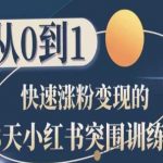 28天小红书达人速成训练营：零基础小白如何快速涨粉实现盈利
