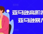亚马逊高级营销策略课程：掌握高利润销售技巧