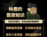 掌握翡翠专业知识，林鹿带你深入解析宝石级翡翠的选购与鉴赏