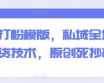 全域打粉模板秘籍：掌握私域全域打粉核心技巧，创新胜过模仿