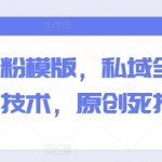 全域打粉模板秘籍：掌握私域全域打粉核心技巧，创新胜过模仿