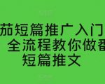 番茄短篇推广实战指南：全流程解析助力快速上手