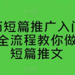 番茄短篇推广实战指南：全流程解析助力快速上手