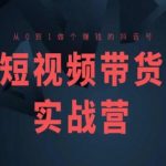 短视频带货高手训练营：零基础打造盈利抖音账号的终极指南