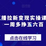 抖音直播带货从入门到精通：轻松上手，一周内实现额外收入五六百元