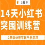 14天小红书达人速成训练营：零基础小白如何迅速涨粉并实现盈利