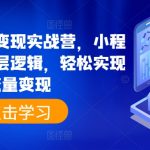 抖音小程序变现实战营：掌握小程序变现底层逻辑，轻松实现流量变现，快速增加收入！