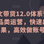 抖音全品类运营12.0体系课：图文带货攻略，快速出单实战，高效打造爆款账号
