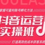 抖音运营实战课程：学习打造盈利账号，掌握高效低成本的获客策略