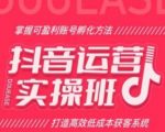 抖音运营实战课程：学习打造盈利账号，掌握高效低成本的获客策略