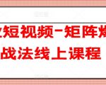 企业短视频营销实战：矩阵爆客战法线上密训