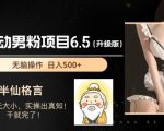 打造全新6.5升级版全自动男粉项目，日收入轻松破千，独家揭秘攻略助你财富增长！