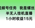 视频号挂机赚钱大揭秘：螺丝王教你半无人操作1小时稳定收益15元