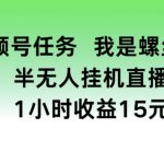 视频号挂机赚钱大揭秘：螺丝王教你半无人操作1小时稳定收益15元