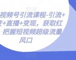 微信视频号终极引流攻略：快速涨粉、裂变传播、直播带货、实现变现，抢滩短视频亿级流量新蓝海！