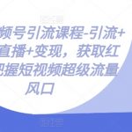 微信视频号终极引流攻略：快速涨粉、裂变传播、直播带货、实现变现，抢滩短视频亿级流量新蓝海！