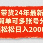 视频号带货2024年新玩法，简单操作多账号推广，日入2000元不是梦