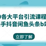 2024年全新升级9.0版本多平台引流教程：玩转小红书、快手、抖音、闲鱼、今日头条、B站，助力快速吸粉！