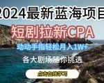 2024年最新蓝海项目：短剧拉新CPA，轻松月入过万，揭秘各大剧场挑选攻略