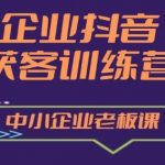 企业抖音营销获客增长训练营：中小企业老板的必修课，实现客户暴增！