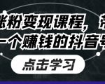 抖音暴增粉丝高效变现攻略，轻松打造盈利抖音账号