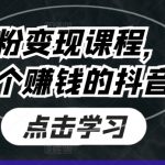 抖音暴增粉丝高效变现攻略，轻松打造盈利抖音账号