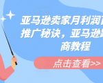 亚马逊卖家月入百万的神秘推广术：跨境电商终极教程