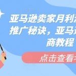 亚马逊卖家月入百万的神秘推广术：跨境电商终极教程