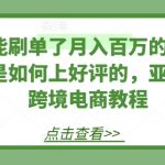掌握亚马逊跨境电商好评策略：揭秘月入百万卖家如何应对刷单禁令